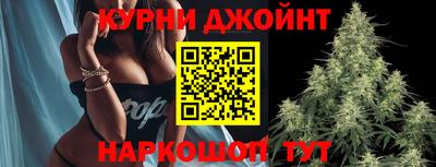 PSILOCYBIN Новокубанск