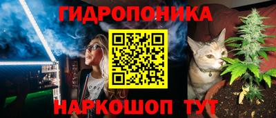 ПСИЛОЦИБИНОВЫЕ ГРИБЫ Новодвинск