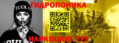 ПСИЛОЦИБИНОВЫЕ ГРИБЫ Новодвинск