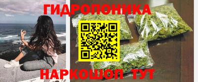 PSILOCYBIN Новокубанск